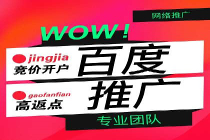 行业领先企业的SEM开户成功案例
