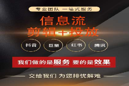 企业SEM服务实战案例解析
